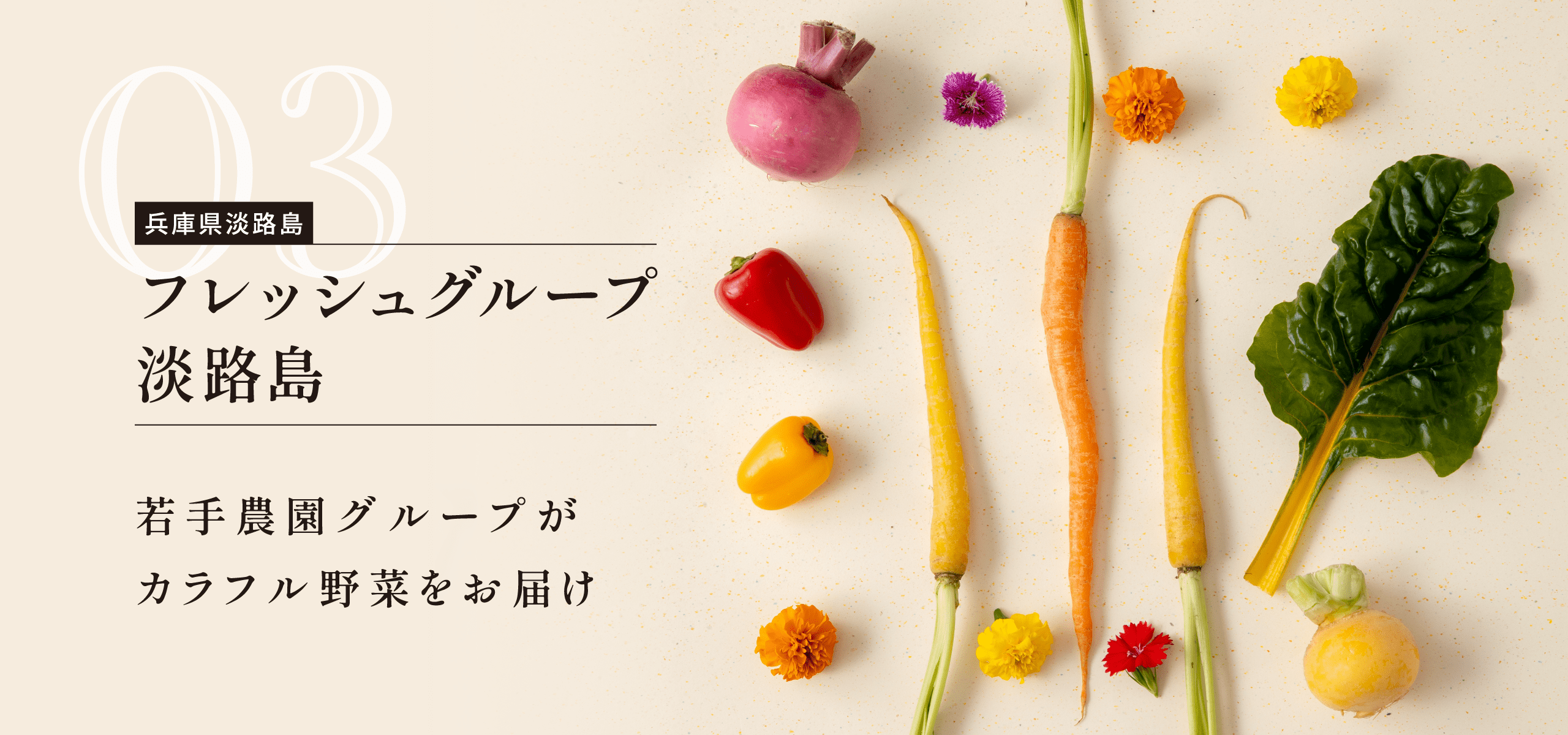 兵庫県淡路島 フレッシュグループ淡路島 若手農園グループがカラフル野菜をお届け